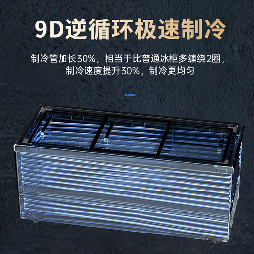 雪花冰柜商用大容量全冷冻家用卧式冷藏冷冻两用单温双温冷柜雪糕展示柜速冻柜 568双温ultra数显版|一级节能|减霜95%
