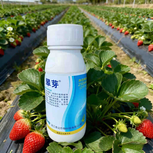 Taihui Li Cui Ya 50% Monocyanamide Ammonia Grape Peach Kiwi Fruit Tree Accelerating Bud Sleeping Agent Monocyanogen Ammonium Growth Regulator 250ml*8 bottles Production date September 25 Shelf life 2 years