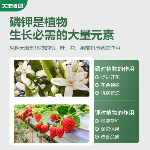 Harvest Harvest and Harvest Carefully Selected Potassium Dihydrogen Phosphate Crystals are easy to dissolve and absorb, quickly enhance stress resistance, protect plants, and can be used for planting and fertilizing. 1kg bag