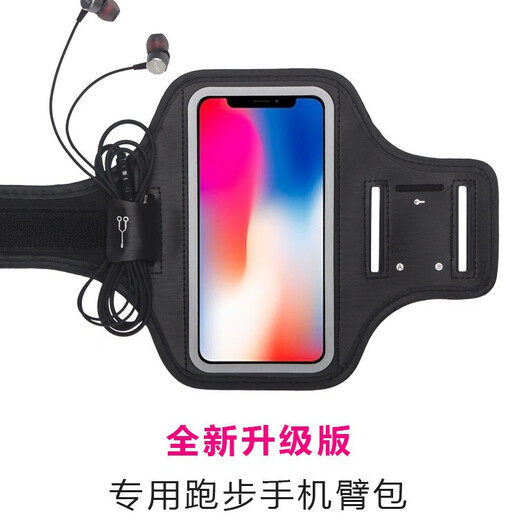 Outdoor sports mobile phone arm bag running arm strap multi-functional but water-resistant mobile phone touch screen mobile phone bag fitness for men and women blue reflective strip M (suitable for mobile phones within 6.2 inches)