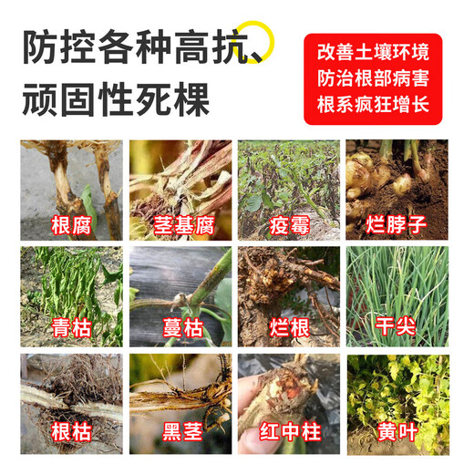 Pythium Teck Agricultural Genuine Specially Used to Treat Stubborn and Highly Resistant Root Rot, Wilt and Verticillium Wilt Rot Glue Auxiliary 500g*2 Bottles