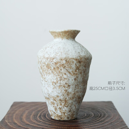 Dried Chinese tallow fruit flower bouquet, natural air-dried real flower, wabi-sabi, wind-length branches, B&B decorative flower arrangement, small white fruit dried flower, white frost vase