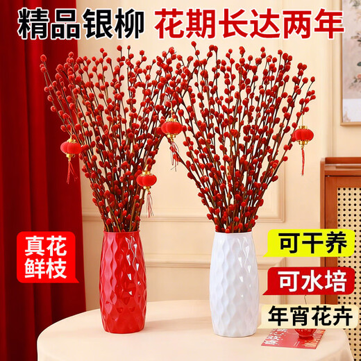 Fresh branches of blue longan and silver willow, New Year's Eve festive flowers, can be grown in water or dried, colorful and lucky 45CM 30 branches straight from the source