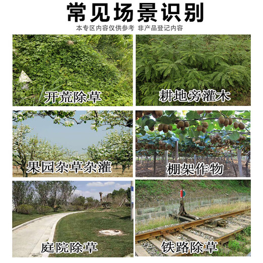 Glycerylclopyr weed glyphosate weed killer root rot agent sweep genuine herbicide light special weed killer news super strong 100g a bag