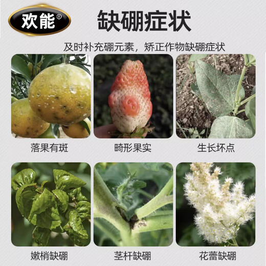 Huaneng granular boron, citrus, fruit trees, corn, wheat, soybeans, vegetable yield increasing granules, slow-release agricultural genuine granular boron 500g
