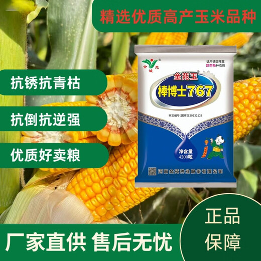 Сезон роз. Подлинные супервысокоурожайные семена кукурузы Jinyuan Dr. Yubang 767, импортированные без покрытия, обладающие комплексной устойчивостью и сильными семенами Dr. Bang 767, три мешка.