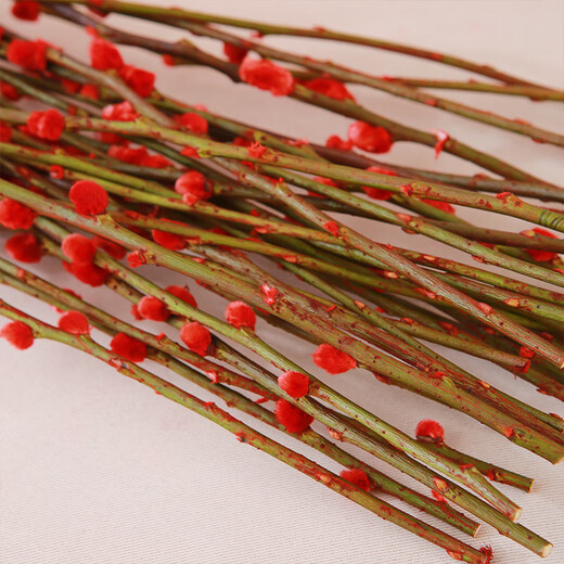 Fresh branches of blue longan and silver willow, New Year's Eve festive flowers, can be grown in water or dried, colorful and lucky 45CM 30 branches straight from the source