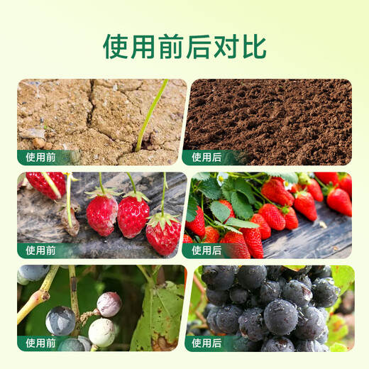 Wang Tianwang agricultural organic vegetable and flower cultivation fungal disease control functional fertilizer Hartz compound 500 million fungus granules 5 Jin Jin equal to 0.5 kg