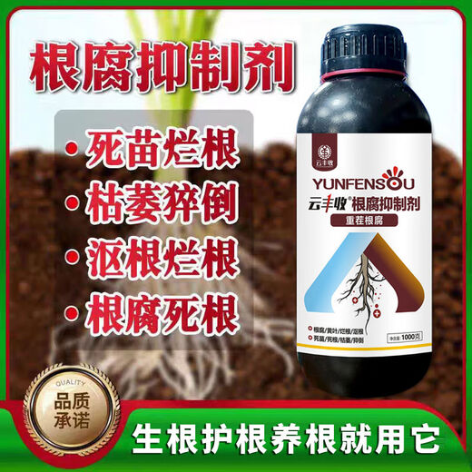 Yunfeng Harvest Root Rot Agent, Root Rot Nemesis, Yellow Leaves, Rotted Roots, Rotted Trees, Rooted Activated Soil, Factory Direct Sales, 1000g*12 Bottles, Exclusive Factory Price for Large Customers