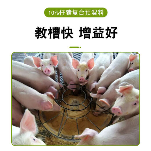 Sino-US Puke 10 piglet premix small piglet suckling pig feed medium and large pig fattening nutrition special feed 10 piglet thrive 10 premix 20kg