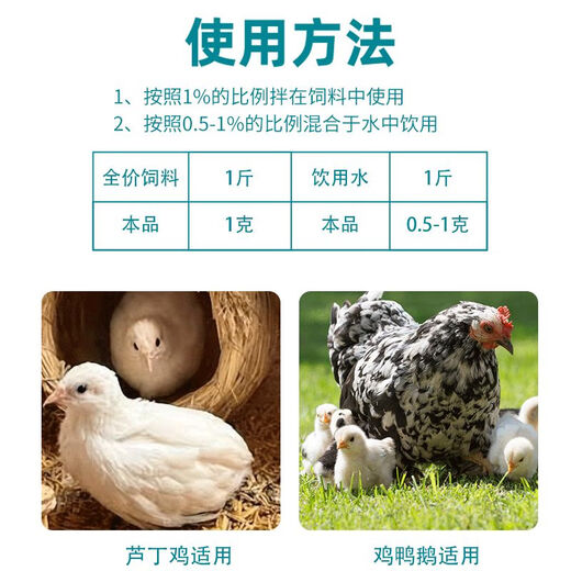 Rutin chicken special electrolytic multi-dimensional bird feed additive for laying hens and chicks electrolyte multivitamin 150g calcium and phosphorus supplement 150g--special nourishing formula for laying hens