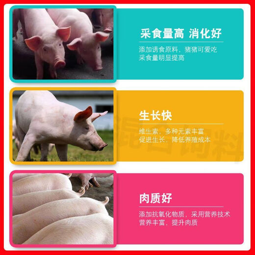 Zhengda pig premix 8% small pig, medium pig, large pig fattening pig, gilt imported fish meal 8% (medium) pig premix 40Jin Jin equal to 0.5kg bag