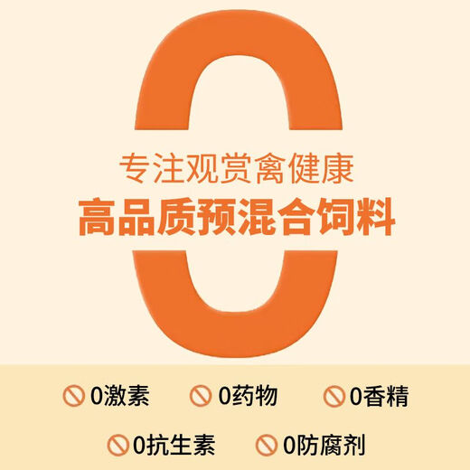 Rutin chicken special electrolytic multi-dimensional bird feed additive for laying hens and chicks electrolyte multivitamin 150g calcium and phosphorus supplement 150g--special nourishing formula for laying hens