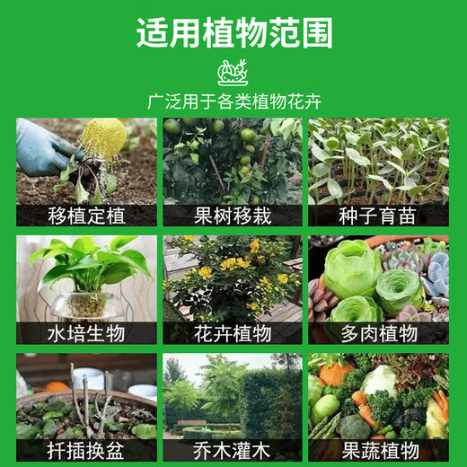 Zhonggu Nongkang Granular Boron Slow-release Granular Fruit Expansion, Beautiful Fruit Increase Quality, Increase Production, Preserve Flowers and Fruits, Increase Fruit Set, Granular Boron 5kg*1 barrel