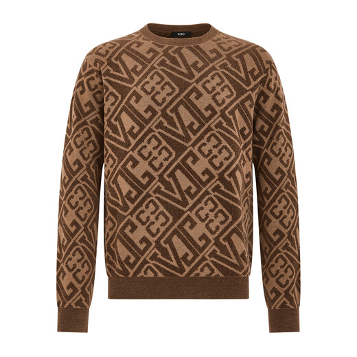 VJC/VJC 2025 autumn and winter new men's fashion jacquard long-sleeved sweater B24DC2200 coffee flower M