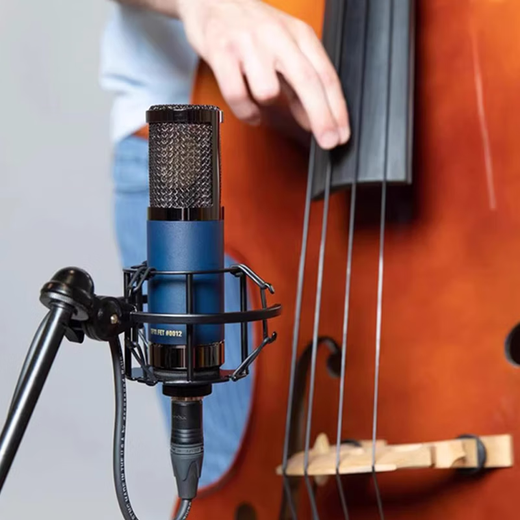 Telefunken TF11 51 47 29 cardioid moving coil karaoke recording tube condenser microphone studio live broadcast anchor audiobook high-end large diaphragm microphone TF11