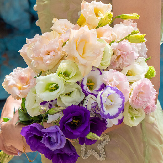 Lisianthus flowers Yunnan straight hair home water-raised bouquet classic matching flower arrangement Chinese Valentine's Day gift fresh cut flowers random color Lisianthus 20-25 buds