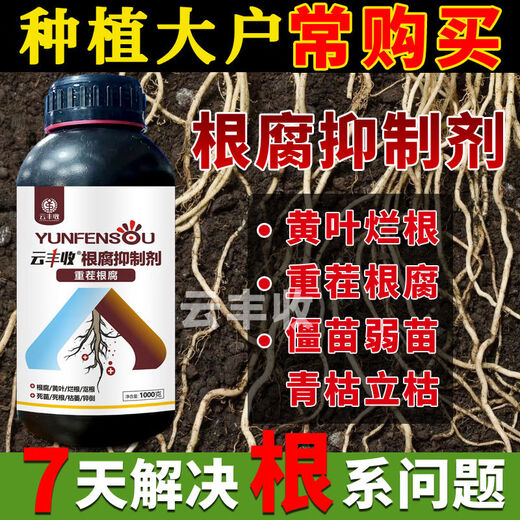 Yunfeng Harvest Root Rot Agent, Root Rot Nemesis, Yellow Leaves, Rotted Roots, Rotted Trees, Rooted Activated Soil, Factory Direct Sales, 1000g*12 Bottles, Exclusive Factory Price for Large Customers