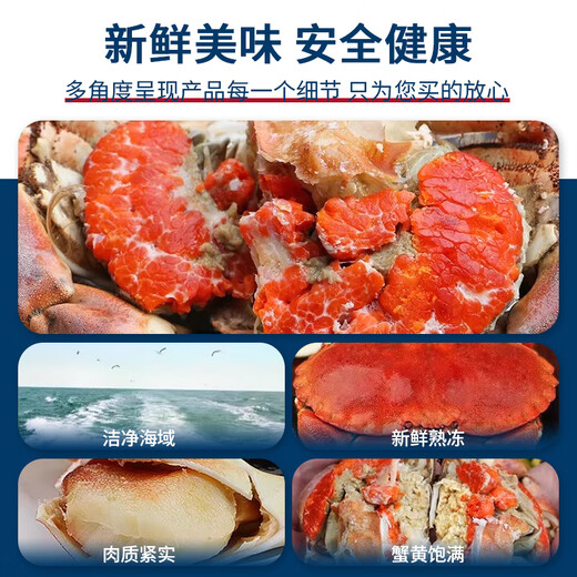 Guoxun Super Large Cooked Frozen Bread Crab Yellow Dao Crab Total Net Weight 1.6 Jin Jin equals 0.5 kg - 2.4 Jin Jin equals 0.5 kg 2 pack deep sea caught large crab full of yellow King crab imported from the UK
