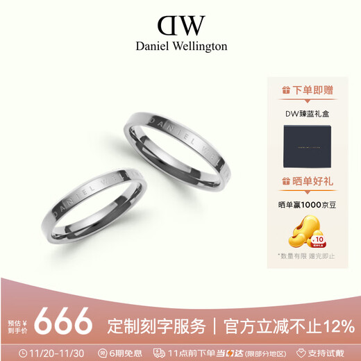 Daniel Wellington dw couple ring classic couple ring moonlight silver 52+58 birthday gift for girlfriend DW029+032