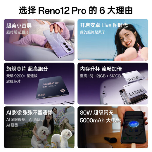 OPPOReno12 Pro Small straight screen Android Live Picture Dimensity 9200+ Smart Photography AI Image Photography Mobile Phone Reno12 Pro Silver Purple 16GB+256GB Single-player + third-party charger + national joint insurance