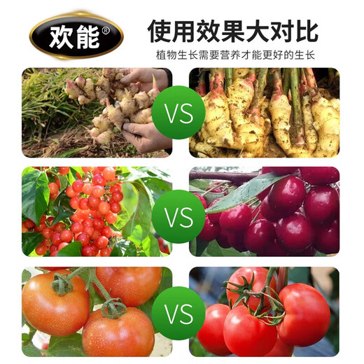 Huaneng granular boron, citrus, fruit trees, corn, wheat, soybeans, vegetable yield increasing granules, slow-release agricultural genuine granular boron 500g