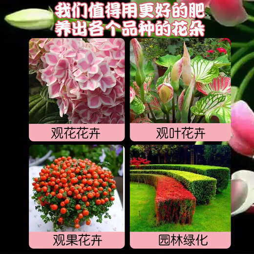 Genuine fast flowering powder phosphate fertilizer for flower cultivation, Bougainvillea camellia potted plant universal flowering promotion gardening household fast flowering powder 250g/1 bottle (free spoon)