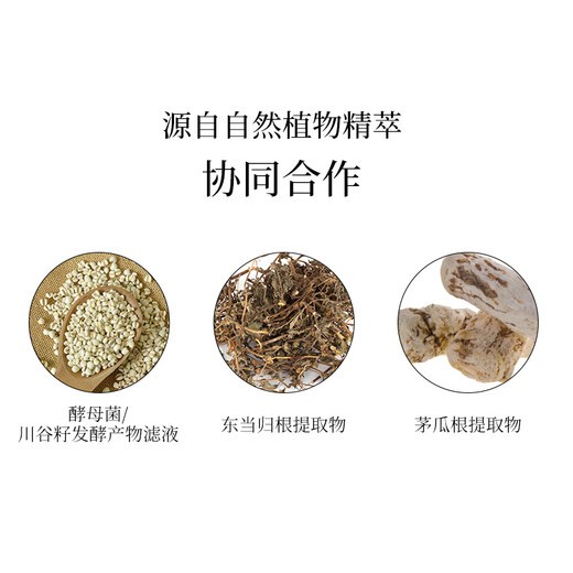 Snow Skin Skin Fine White BB Cream 01 30g SPF40+PA+++ Moisturizing Concealer Gentle Sun Protection Gifts
