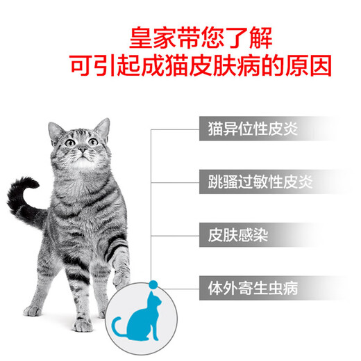 ROYAL JOHNSON Royal cat food adult cat skin coat full price prescription food SAC36 1.5kg sac36 (cat skin coat