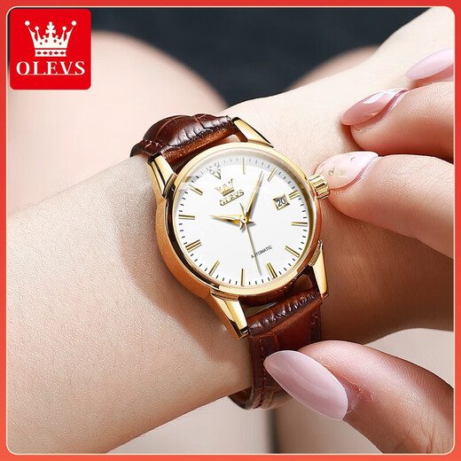 欧利时（OLEVS）瑞士认证品牌手表女士全自动机械表夜光防水女表简约气质轻奢腕表 OLEVS-6629女-棕皮白面