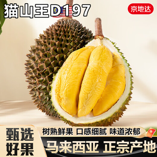 京地达马来西亚猫山王榴莲 净重4.5斤单果4.5斤 液氮冷冻源头直发包邮