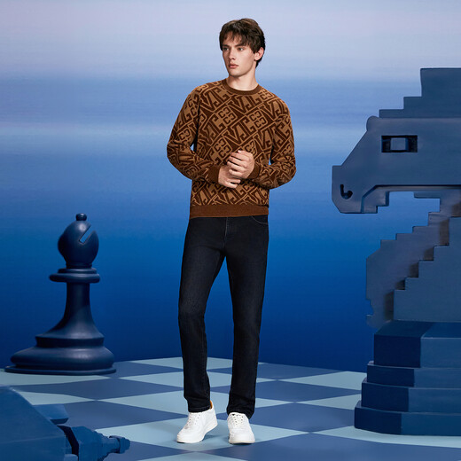 VJC/VJC 2025 autumn and winter new men's fashion jacquard long-sleeved sweater B24DC2200 coffee flower M