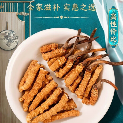 Cordyceps sinensis tibetische Gebiete Cordyceps sinensis gebrochenes Gras ist erschwinglicher für sich selbst gegossene getrocknete Cordyceps, die getrockneten, getrockneten Kauen in Wein und Pulver eingeweicht werden, um Suppe zuzubereiten. 1 Gramm Big Cordyceps sinensis