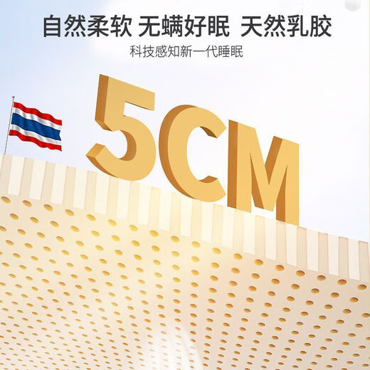 星年床垫天然乳胶席梦思床垫独立弹簧袋家用床垫子软硬两用可定制 护脊B款:加密弹簧+3E环保棕 偏硬约22cm厚 1350mm*1900mm
