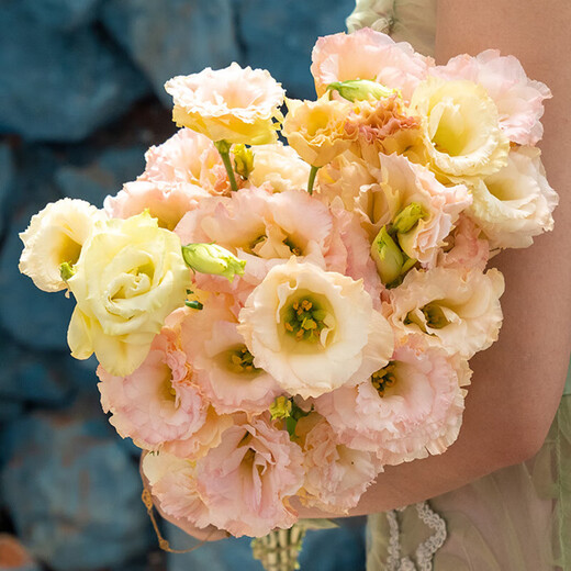 Lisianthus flowers Yunnan straight hair home water-raised bouquet classic matching flower arrangement Chinese Valentine's Day gift fresh cut flowers random color Lisianthus 20-25 buds