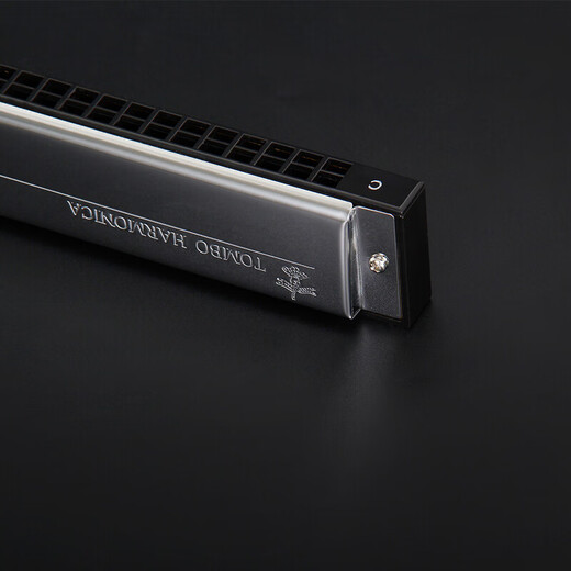 TOMBO通宝6624P纯音口琴hope24孔复音套装演奏A B C D E F G 单音口琴 24孔 G调