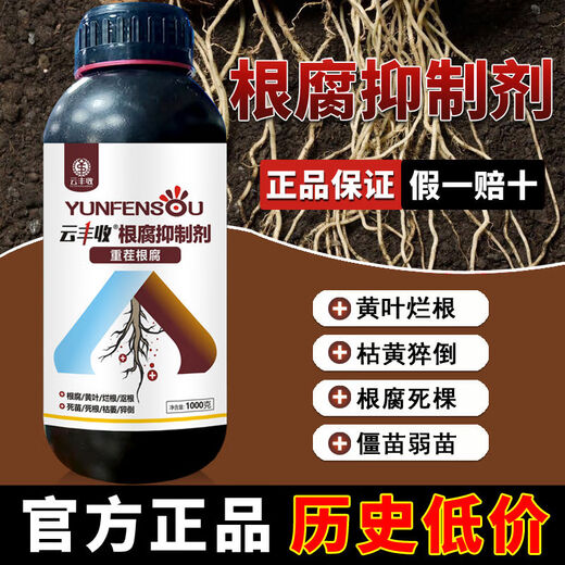 Yunfeng Harvest Root Rot Agent, Root Rot Nemesis, Yellow Leaves, Rotted Roots, Rotted Trees, Rooted Activated Soil, Factory Direct Sales, 1000g*12 Bottles, Exclusive Factory Price for Large Customers