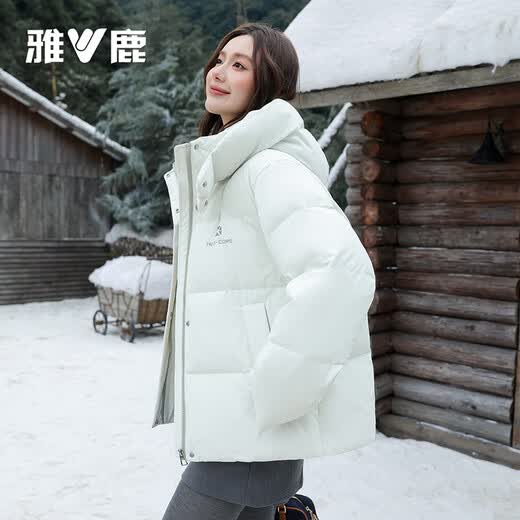 Yalu Short Down Jacket Women's 2025 New Winter Clothing Fashion Casual High-Level Color Hooded Warm Jacket Quiet Blue L Recommended 110Jin Jin is equal to 0.5kg -120Jin Jin is equal to 0.5kg