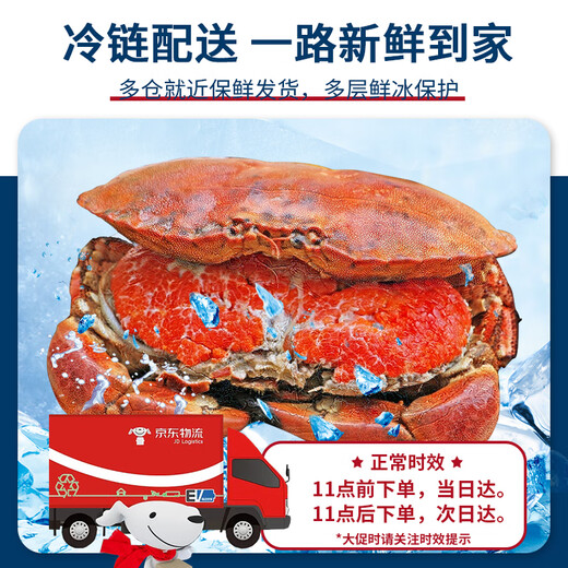 Guoxun Super Large Cooked Frozen Bread Crab Yellow Dao Crab Total Net Weight 1.6 Jin Jin equals 0.5 kg - 2.4 Jin Jin equals 0.5 kg 2 pack deep sea caught large crab full of yellow King crab imported from the UK