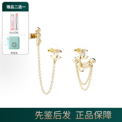 香奈儿（Chanel） 经典双C珍珠耳环 女士耳钉 女款 耳饰 送女友妈妈 节日 生日礼物 黄金链条AB7789-B07488-NG677