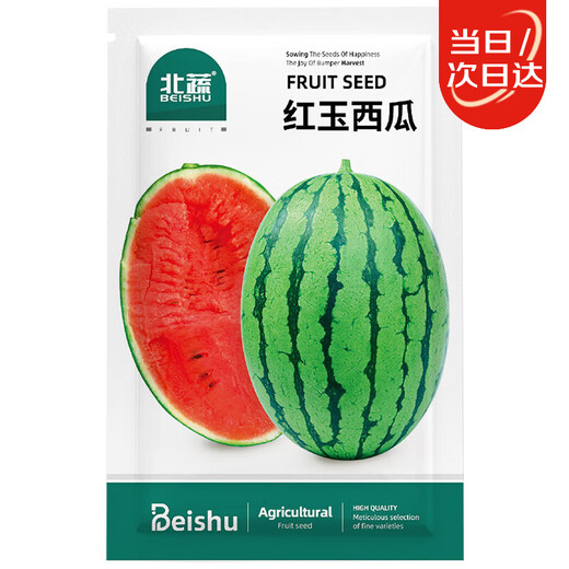 Northern Vegetable Watermelon Seed Seedlings Early Mature Thin-Skinned Small Fruit Suitable for Potted Melon Seeds in the North and South Ruby Watermelon Seeds 50 Tablets