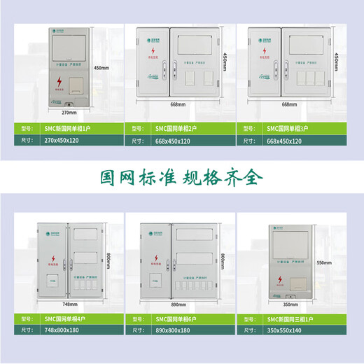 Dingxin Electric Tianye Electric State Grid SMC wall-mounted surface-mounted waterproof low-voltage meter box single-phase 3 meter box