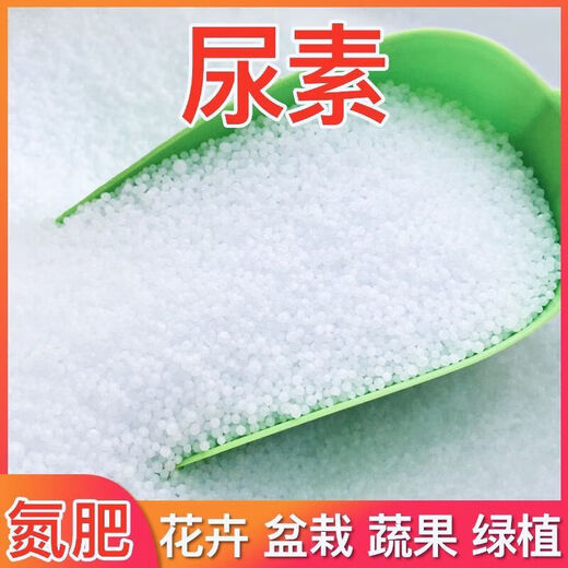 Urea Fertilizer Agricultural Nitrogen Fertilizer for Vegetables, Compound Fertilizer for Planting Flowers, Fruit Trees, Potted Plants, Universal Flower Fertilizer Genuine Weihe Medium and Small Granular Urea Contains 46% Nitrogen 1.5kg Trial