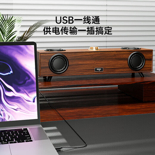 Patriot T352 computer audio desktop speaker home wired USB desktop laptop long wooden subwoofer dual diaphragm multimedia speaker retro style