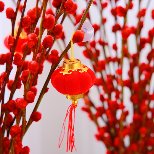 Fresh branches of blue longan and silver willow, New Year's Eve festive flowers, can be grown in water or dried, colorful and lucky 45CM 30 branches straight from the source