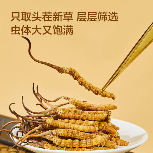 同仁堂（TRT）冬虫夏草礼盒约4根/g10g约40根虫草礼盒年货礼品高端营养品送长辈