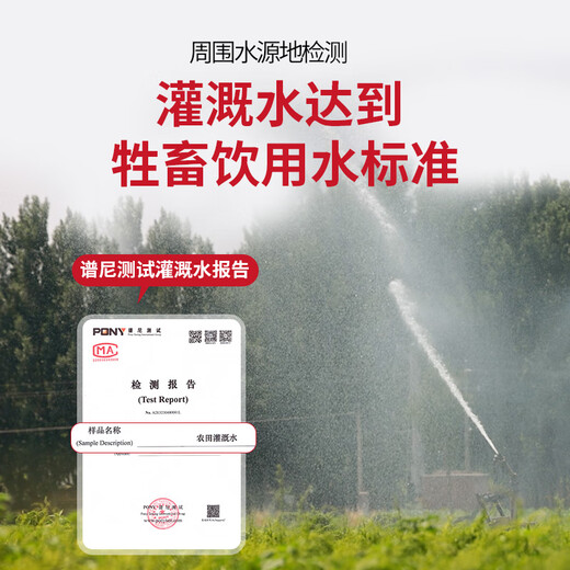 Zhang Baoshan, Jiaozuo, Henan, cultivates yam with iron rods in loam soil and ancient methods. Carefully selected 5 Jin Jin is equal to 0.5 kg. Net weight. Straight from the source.