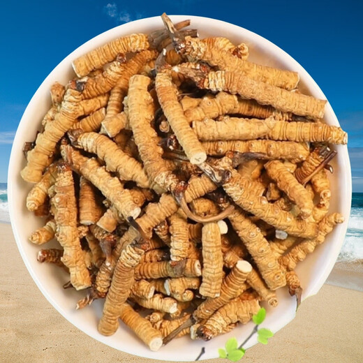 Cordyceps sinensis broken grass high altitude Tibetan area snowy areas selected Cordyceps sinensis pure meat section dried Cordyceps nourishing Cordyceps sinensis Tibetan area Cordyceps sinensis 20 grams