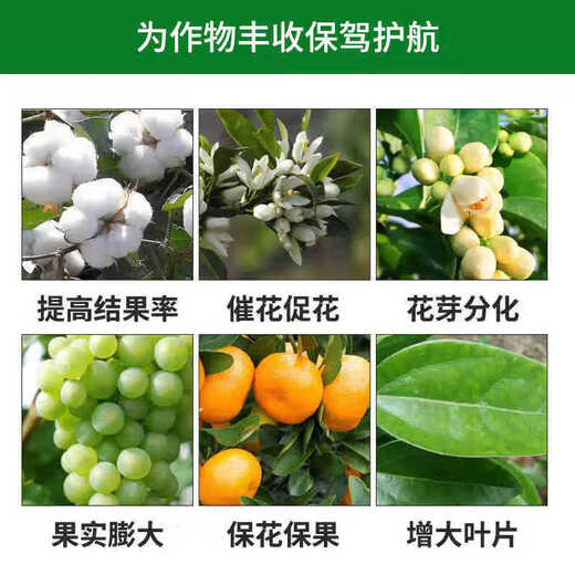 Guoguang Gibberellic Acid Citrus Grape Increases Fruit Setting Rate, Promotes Germination and Elongates Fruit Ear Growth Regulator 200ml