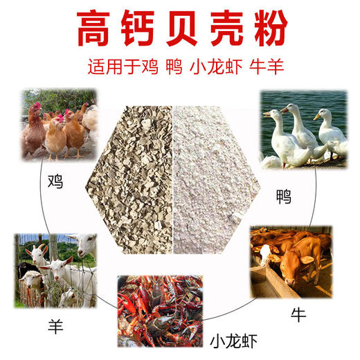Oyster shell powder, aquatic shell powder, chicken feed, pigeons, quails, ducks, crayfish, bird food, hard eggs, oyster shell powder premix 10Jin Jin is equal to 0.5kg, packed with fine powder